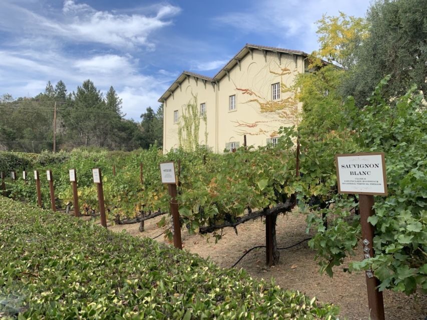From San Francisco: Private Muir Woods and Napa Wine Tour - An Introduction to the Experience