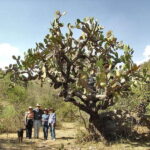 From San Miguel de Allende: Hiking in the Canyon with Lunch - The Real Value of This Tour