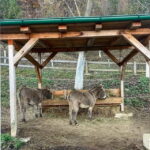 From Sarajevo: Visoko Pyramids, Plantations & Horse Riding - Final Thoughts