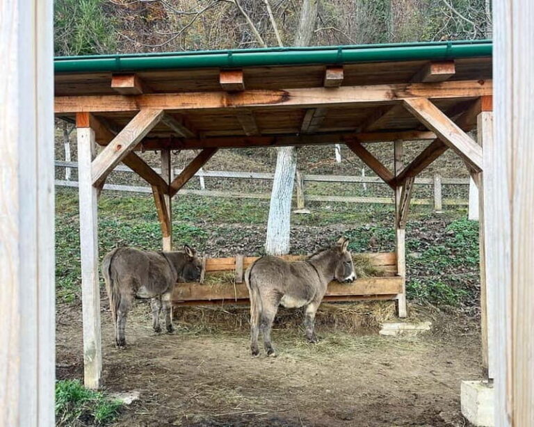 From Sarajevo: Visoko Pyramids, Plantations & Horse Riding - Final Thoughts