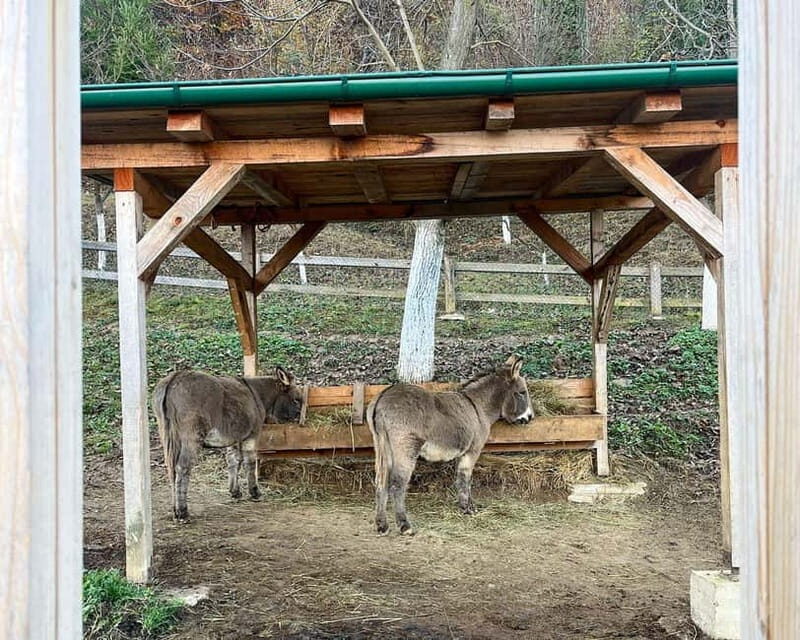 From Sarajevo: Visoko Pyramids, Plantations & Horse Riding - Final Thoughts
