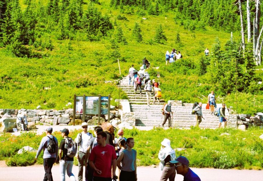 From Seattle: Customized Mount Rainier Tour - How the Itinerary Comes Together