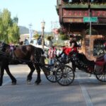 From Seattle: Day Trip Through The Cascades to Leavenworth - An In-Depth Look at the Experience