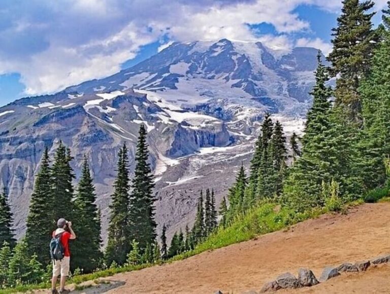 From Seattle: Full-Day Mt Rainier National Park Tour - Review Highlights and Authentic Perspectives