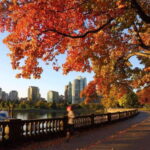 From Seattle - Full Day Private Tour of Vancouver BC ,Canada - The Full Experience: A Detailed Look at the Tour