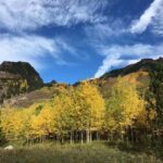 From Seattle: Mount Rainier Guided Day Tour - The Itinerary: What You Will See and Do