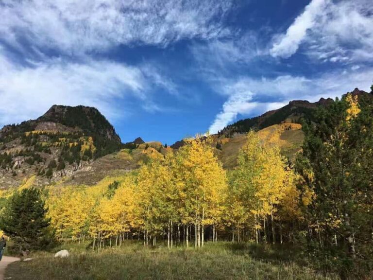 From Seattle: Mount Rainier Guided Day Tour - The Itinerary: What You Will See and Do