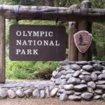 From Seattle: Olympic National Park Full Day Tour - Final Thoughts: Is This Tour Right for You?