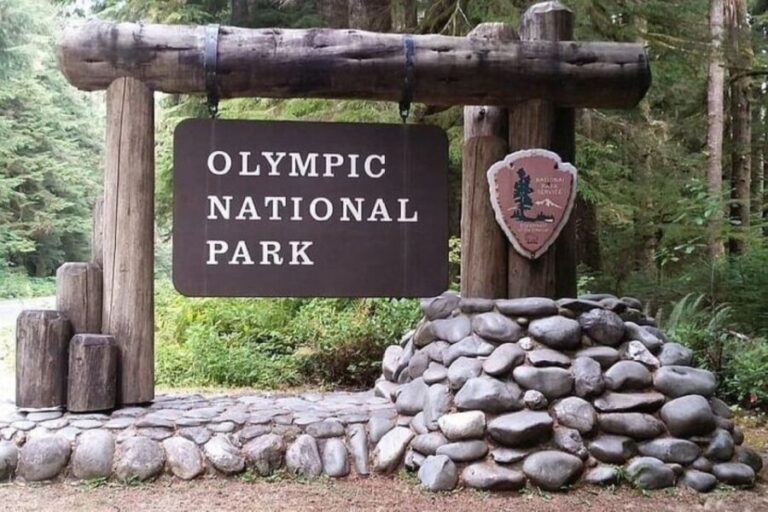From Seattle: Olympic National Park Full Day Tour - Final Thoughts: Is This Tour Right for You?