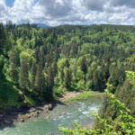 From Seattle: Pacific Northwest Waterfalls & Hiking Tour - A Closer Look at the Tour Experience