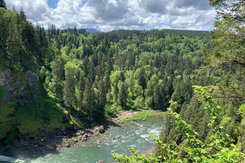 From Seattle: Pacific Northwest Waterfalls & Hiking Tour - A Closer Look at the Tour Experience