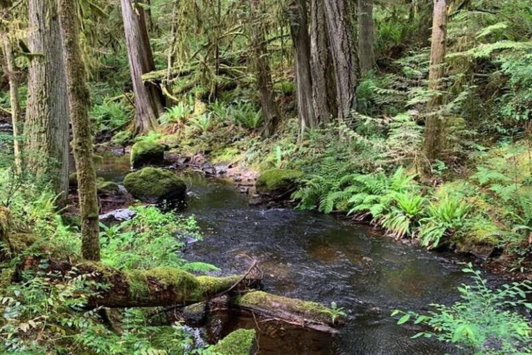 From Sechelt or Langdale: Sunshine Coast Tour and Hike - Who Is This Tour Best For?