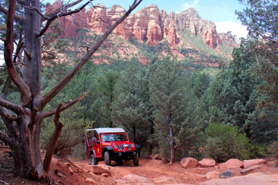 From Sedona: Red Rock West Private Jeep Tour - An In-Depth Look at the Red Rock West Jeep Tour