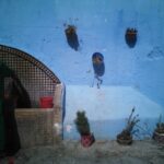 From Seville: 2-Day Trip to Tangier - Who Should Consider This Tour?