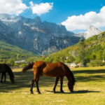 From Shkoder: 2-Day Trip to Theth with Accommodation - The Value of the Tour