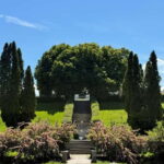 From Sibiu: Brukenthal Palace & The Upside-down House Avrig - Final Thoughts: Why This Tour Is a Great Choice