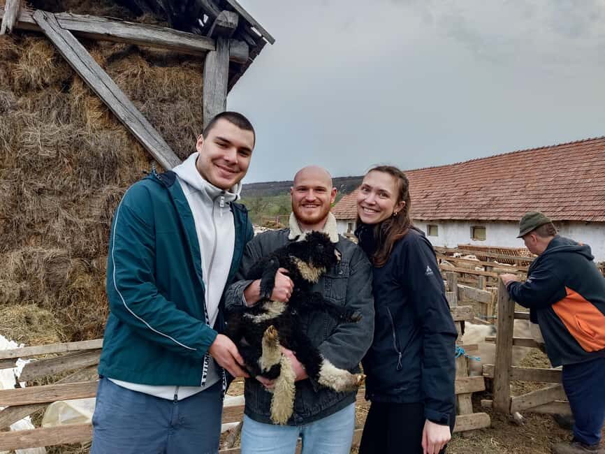 From Sibiu: Villages, Farm Life & Horse Carriage Ride - Who will love this tour?