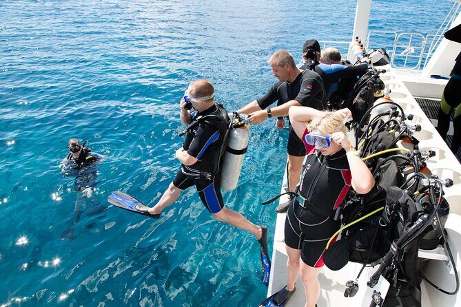 From Side, Alanya: Scuba Diving With 2 Time Dive & Lunch - The Sum Up: Is This Tour Worth It?