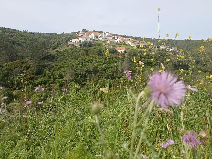 From Sintra, Mafra, or Ericeira: Hike and Wine Tour - An In-Depth Look at the From Sintra, Mafra, or Ericeira: Hike and Wine Tour