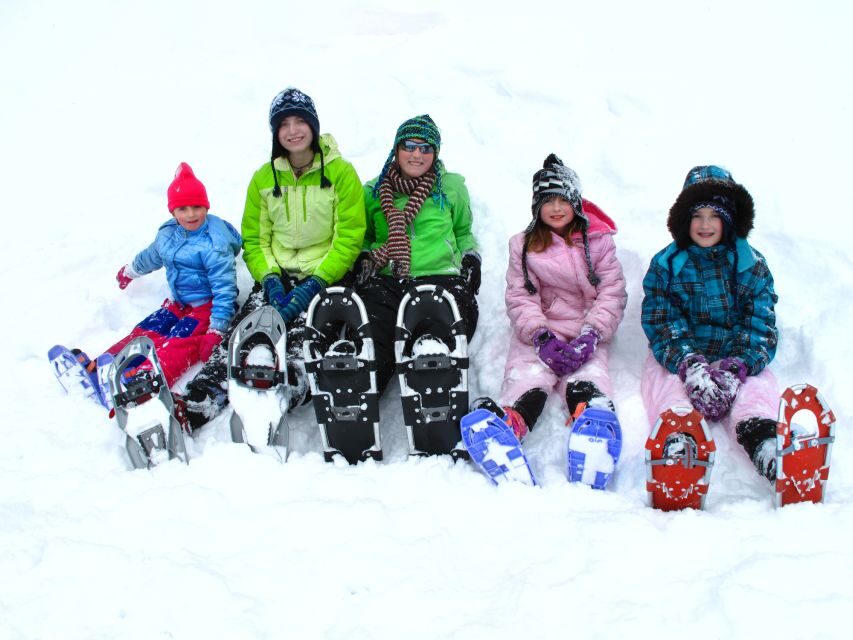 From Sirkka: Levi Summit Guided Nature Snowshoeing Tour - An In-Depth Look at the Levi Summit Snowshoeing Tour