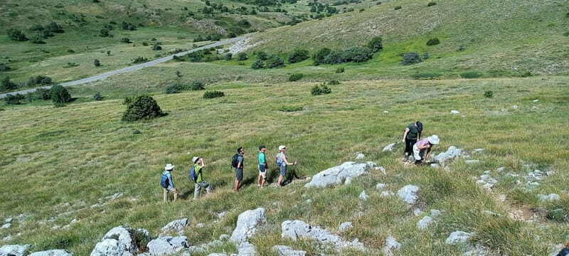 From Skopje: Ohrid and Magaro Peak Hike on Galicica Mountain - What to Expect and Practical Tips