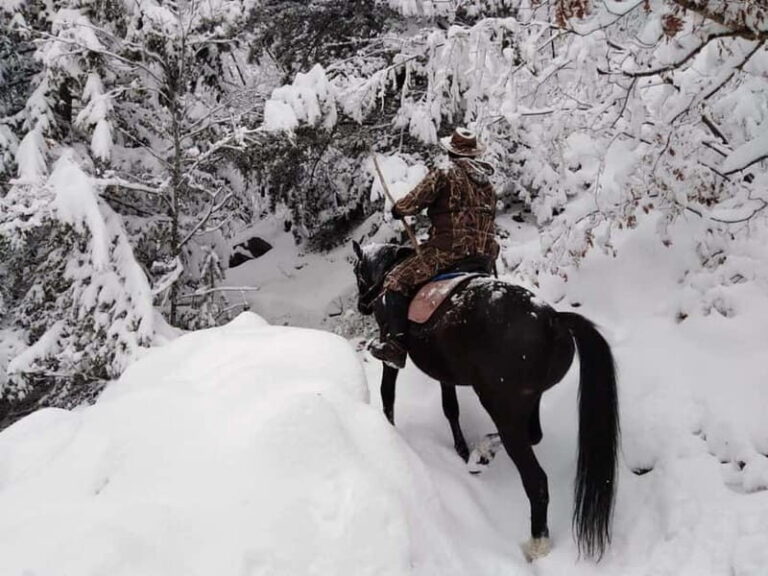 From Smolyan: Waterfalls Canyon Horseback Riding Tour - In Summary