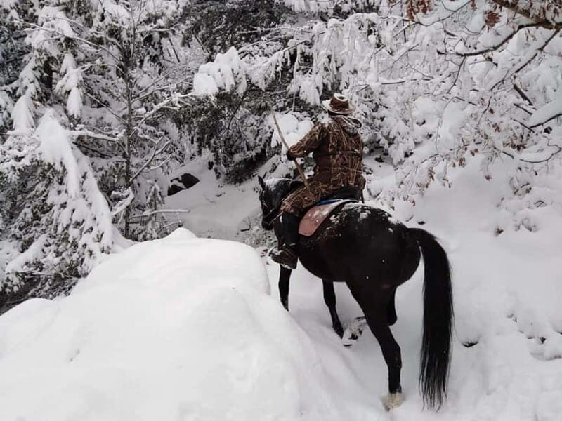 From Smolyan: Waterfalls Canyon Horseback Riding Tour - In Summary