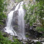 From Sofia: One-Day Tour of Vitosha Mountain - What the Reviews Reveal