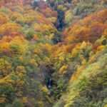 From Sofia: Rila Monastery & Optional Boyana Church Day Tour - The Experience in Detail