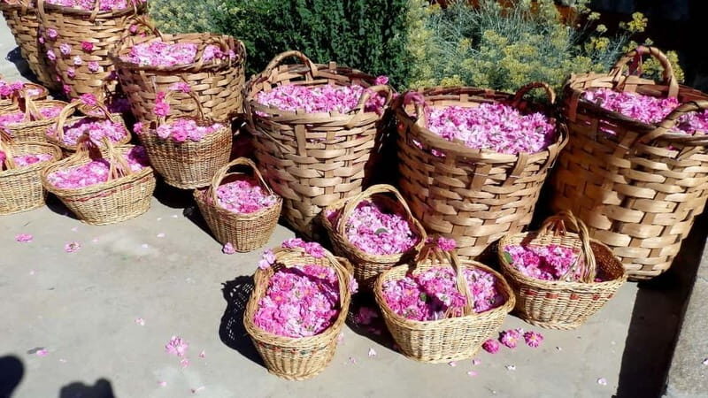From Sofia: The Rose Valley & Koprivshtitsa 12 hrs Day Tour - Who Should Consider This Tour?