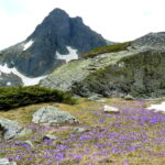 From Sofia: The Seven Rila Lakes Full-Day Self-Guided Tour - Who Should Consider This Tour?