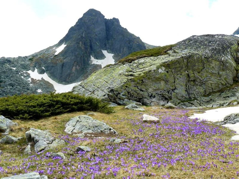 From Sofia: The Seven Rila Lakes Full-Day Self-Guided Tour - Who Should Consider This Tour?