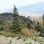 From Sofia: Vitosha Mountain and Pancharevo Lake - Deep Dive: What You Can Expect