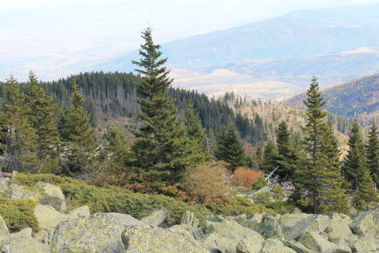 From Sofia: Vitosha Mountain and Pancharevo Lake - Deep Dive: What You Can Expect