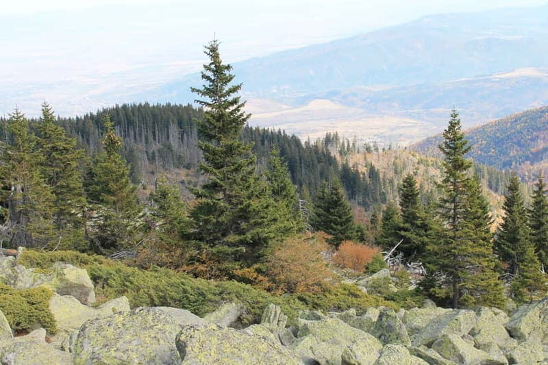 From Sofia: Vitosha Mountain and Pancharevo Lake - Deep Dive: What You Can Expect