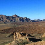 From South Tenerife: Half-Day Tour to Mount Teide - Detailed Review of the Teide Half-Day Tour