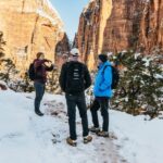 From Springdale: 4-hour Zion Canyon Scenic Hiking Tour - What to Expect on the Trail