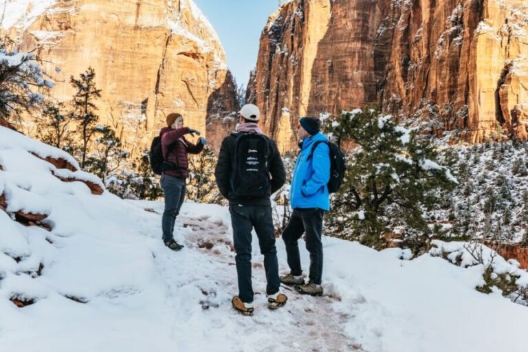 From Springdale: 4-hour Zion Canyon Scenic Hiking Tour - What to Expect on the Trail