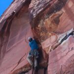 From Springdale: Half-Day Rock Climbing Experience - Who Will Love This Tour?