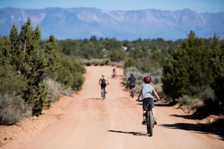 From Springdale: Zion National Park Bike Tour - Who Should Consider This Tour?