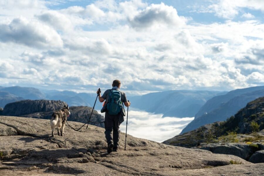 From Stavanger: Pulpit Rock Guided Hike with Pickup - Who Would Love This Tour?