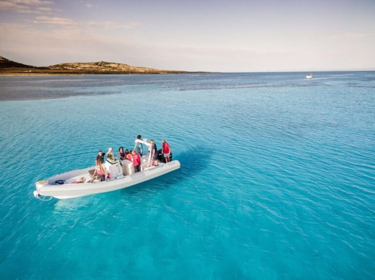 From Stintino: Half-day dinghy tour in Asinara Gulf - Detailed Breakdown of the Itinerary