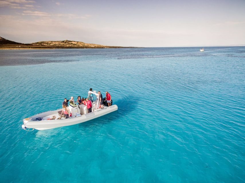 From Stintino: Half-day dinghy tour in Asinara Gulf - Detailed Breakdown of the Itinerary