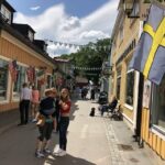 From Stockholm: Viking Culture Guided Tour with Transfer - The Itinerary in Detail: Visiting the Heart of Viking Sweden