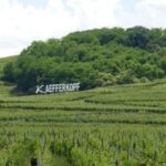 From Strasbourg: Best Of Alsace Historical Day Trip - Who Should Consider This Tour?