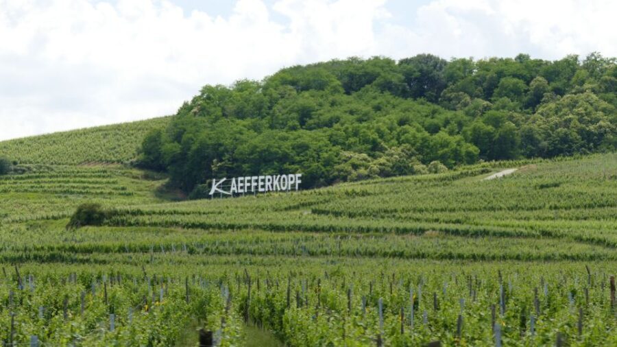 From Strasbourg: Best Of Alsace Historical Day Trip - Who Should Consider This Tour?
