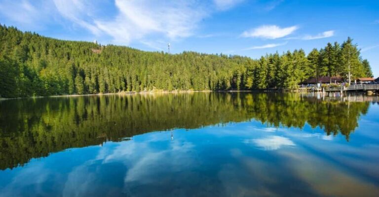 From Strasbourg: Black Forest and Baden Baden Day Trip - The Value of the Experience