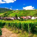 From Strasbourg: Half-Day Tour of Alsace Villages - What Makes This Tour Stand Out?