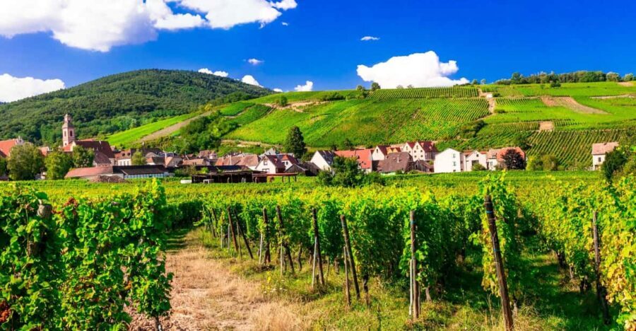 From Strasbourg: Half-Day Tour of Alsace Villages - What Makes This Tour Stand Out?