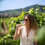 From Strasbourg: Private Alsace Classic Wine Tour - Transportation & Group Size